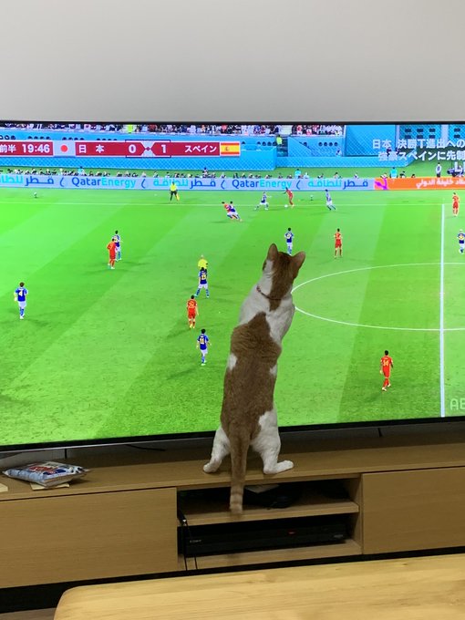 Twitterのコスプレ画像6