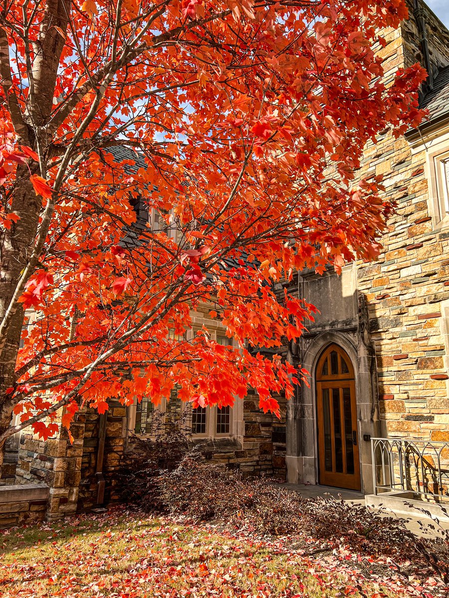 RhodesSoftball's tweet photo. #FallinForRhodes 🍁🍂 https://t.co/lHsT3i0Zzo