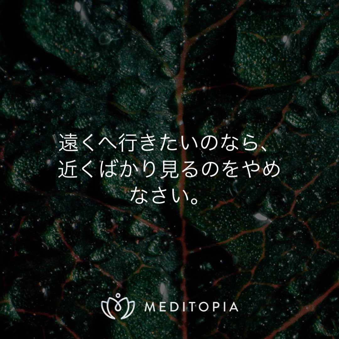 おはようございます☀

目の前のタスクばかりに気を取られていると、行き先を見失うことも。
たまには遠くをみる事も大事。

今日は、自分の夢を思い出してみては？
行ってらっしゃい！

#名言 #モチベーション #インスピレーション #今日の名言 #瞑想 #マインドフルネス #ヨガ #50代 #40代 #健康