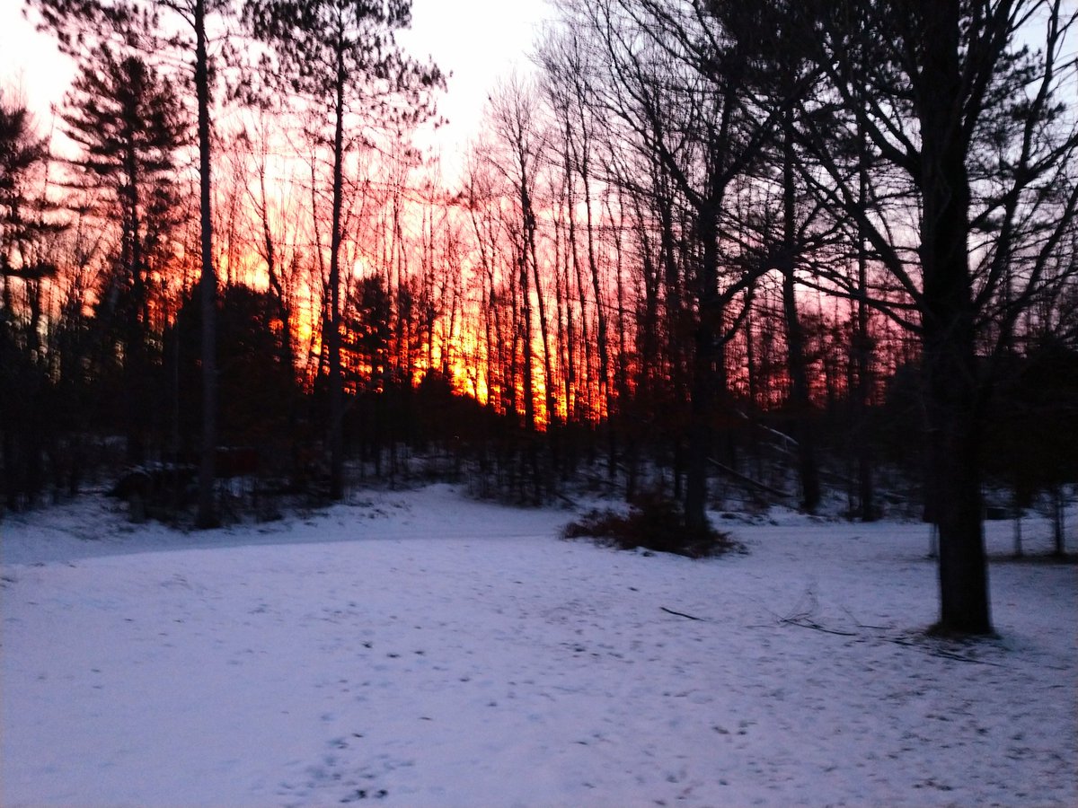 George Schroeder tweet media