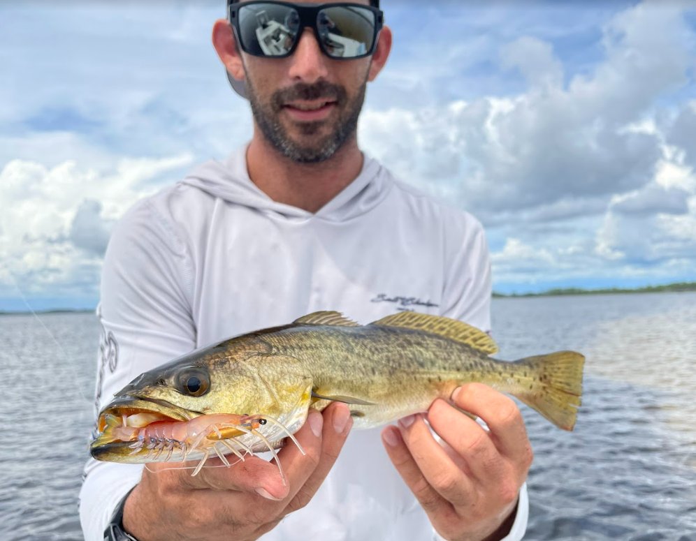 chasebaits's tweet photo. Which #FlickPrawn color is your favorite?
#NativePrawn 📸 @jwhite850
#inspiredbythechase #chasebaits_USA #shrimpbait #flickprawn #nativeprawn #jellyprawn #tigerprawn #pinkdevil #crystal #banana https://t.co/v172DEf5Wu