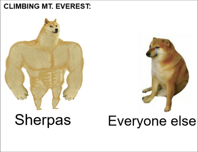 Matthew Laserinko tweet media