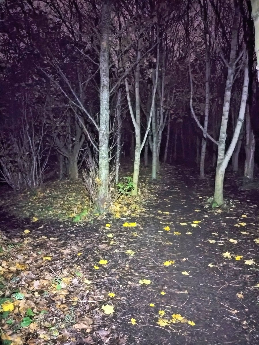 The results for tonight's <a href="/EUOCLegends/">EUOC</a> FWTN at Mortonhall are up on Ben's revamped <a href="/MunroLeagues/">Munro Leagues</a> website. Thanks to Planner James. Some tinkering to be done to link up some SI cards to names. Great to see our Juniors out in force on the Short course.
munroleagues.com/events/Fightwi…