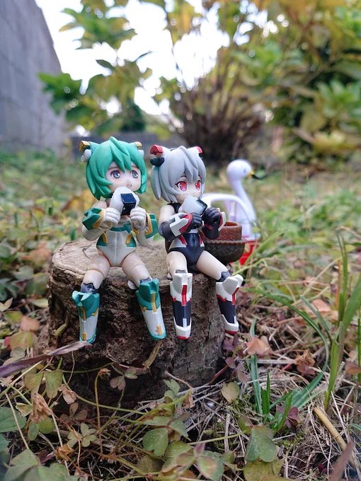 今朝はちょっと写真撮る時間なかったので昨年の今ごろの写真でぶぃんぶぃん#デスクトップアーミー 