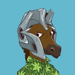 KOD Media tweet media