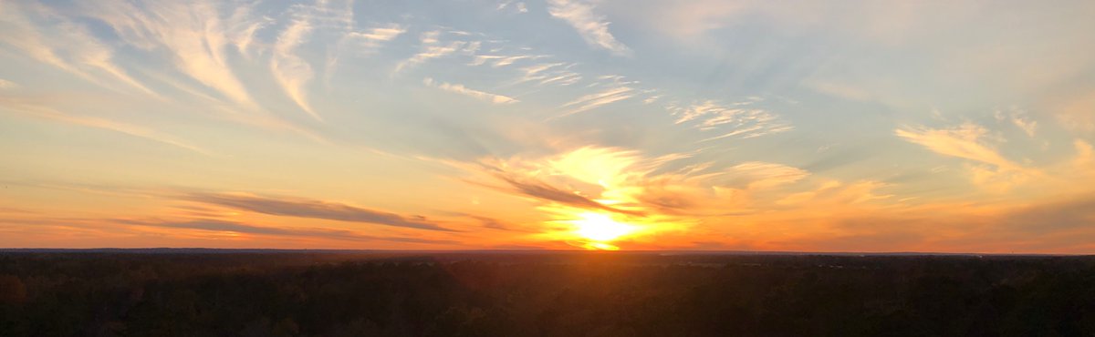 Dexter 🦁 tweet media