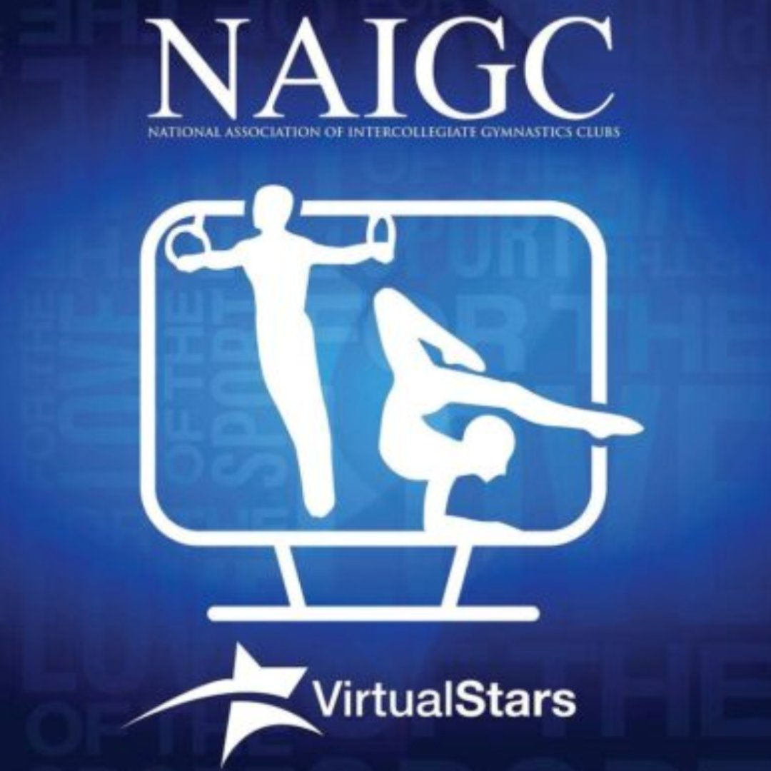 13 days lefto to register for NAIGC’s virtual stars competition, the Turkey Tumble! Submissions will be accepted through Friday, Dec 16th. Record your competition routines and submit them for scoring and feedback. Learn more and register today at virtualstarsgymnastics.com/registration/2….