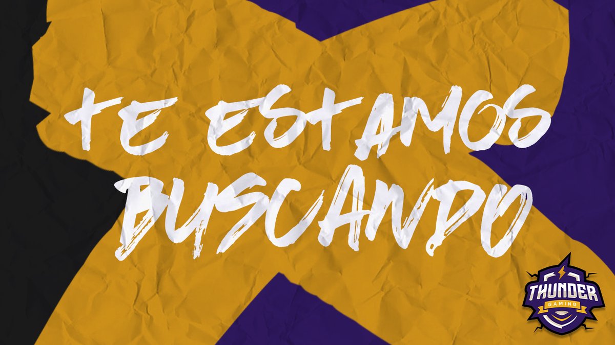 Thunder Gaming tweet media