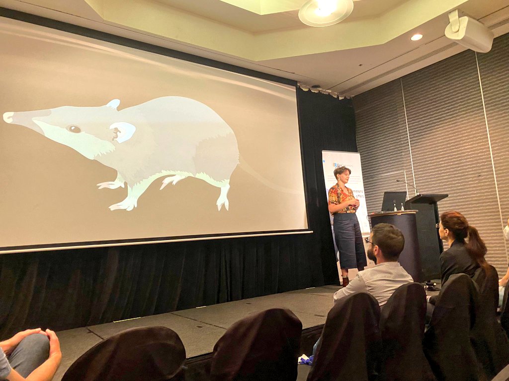 Kaylah Del Simone tweet media