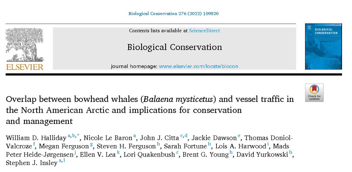 William Halliday tweet media