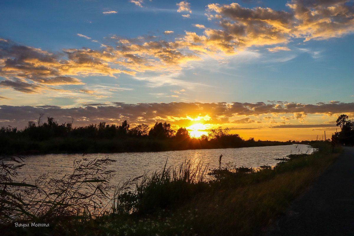 TerriGPhoto's tweet photo. Bayou Folse Life, Raceland @MargaretOrr @Lovin_Louisiana @LafourcheGazett @LouisianaTravel #BayouLife #OnlyInLouisiana #BayouMomma https://t.co/5zgxOyLWGN