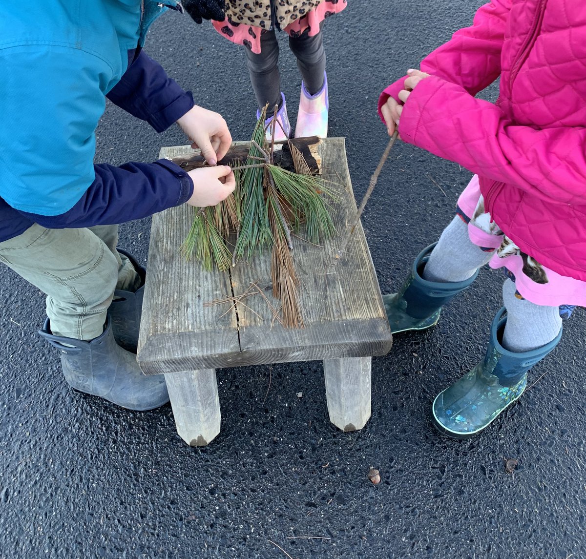 Erin Creaser tweet media