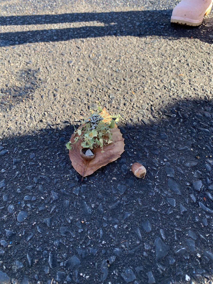 Primary and Grade 1 students completed an "At My Best" challenge today creating collages with items they found on our walk!  @PRESPrincipal  <a href="/PHECanada/">PHE Canada | EPS Canada</a> 
#AMBchallenge