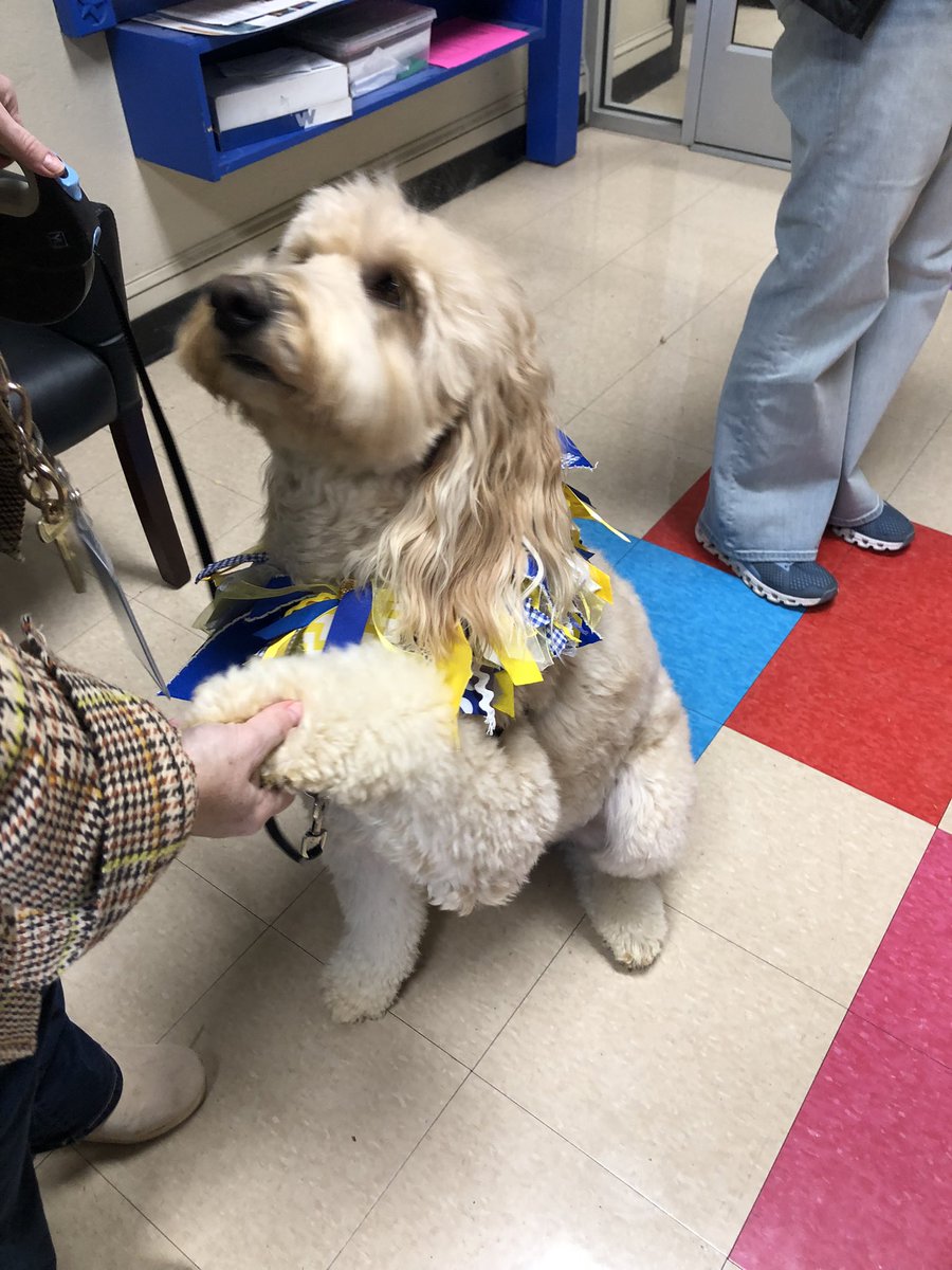 joynerTPSD's tweet image. It was a “dog gone” good time today for @joynerTPSD Joeys who had the chance for some up close time with @THSWavely. Not sure who enjoyed it the most; the Joeys or the teachers…or  Wavely.