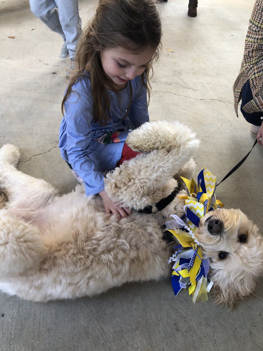joynerTPSD's tweet image. It was a “dog gone” good time today for @joynerTPSD Joeys who had the chance for some up close time with @THSWavely. Not sure who enjoyed it the most; the Joeys or the teachers…or  Wavely.