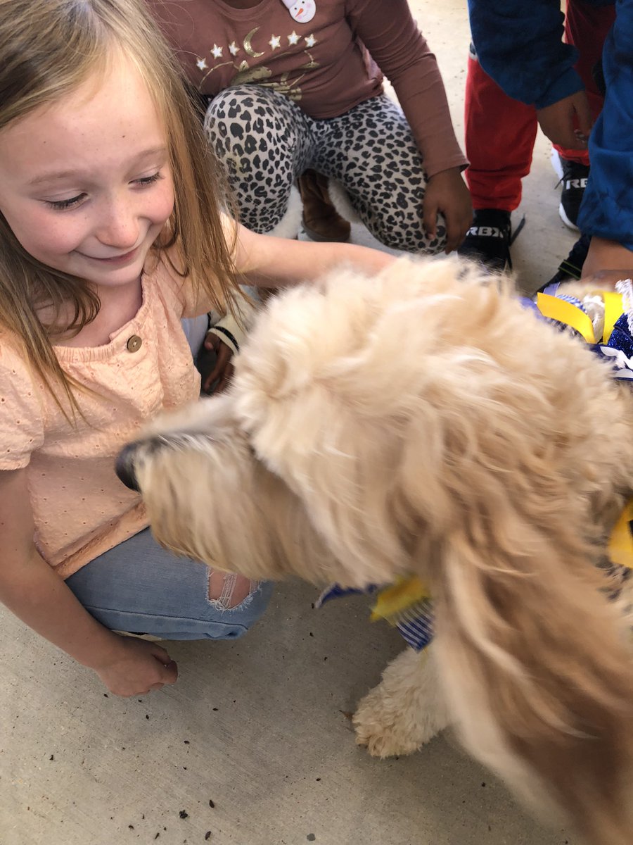 joynerTPSD's tweet image. It was a “dog gone” good time today for @joynerTPSD Joeys who had the chance for some up close time with @THSWavely. Not sure who enjoyed it the most; the Joeys or the teachers…or  Wavely.