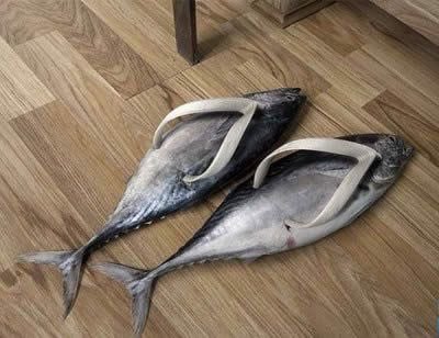 Wait for me. I have to put on my fish flops.