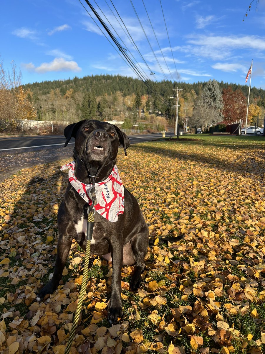 MonsterBurrell's tweet photo. The suns out! https://t.co/cVql1Yin4n