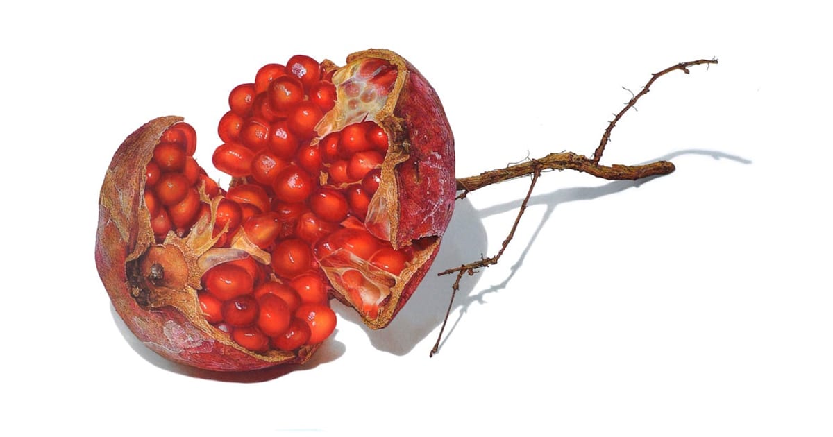 zaibatsu's tweet photo. Beautiful Flora Comes Alive in Spectacular Hyperrealistic Colored Pencil Drawings https://t.co/isurtj6vMp #PencilDrawing #davidmorrison https://t.co/zoKbGYwO6i
