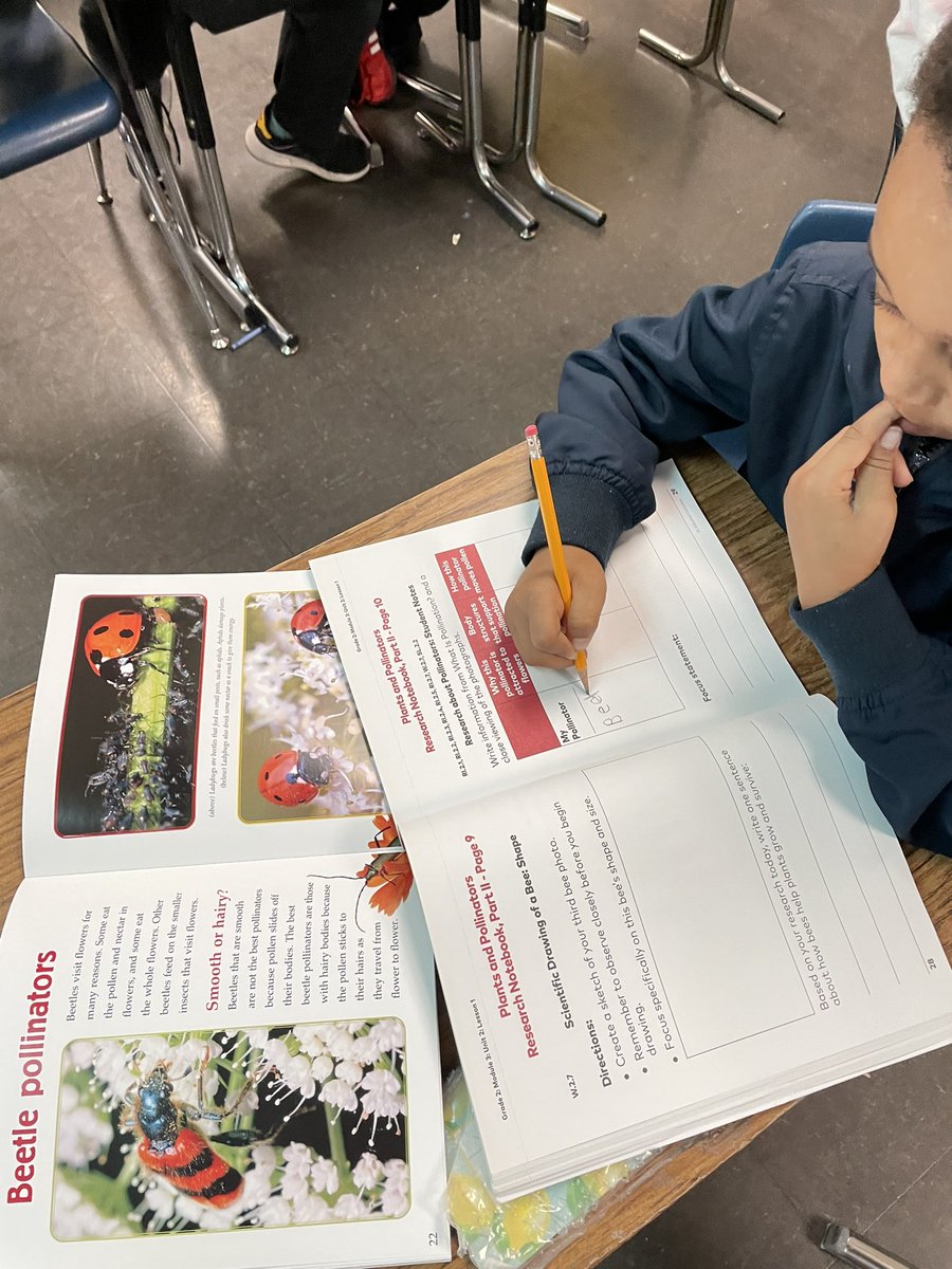 Kathleen Mullins tweet media