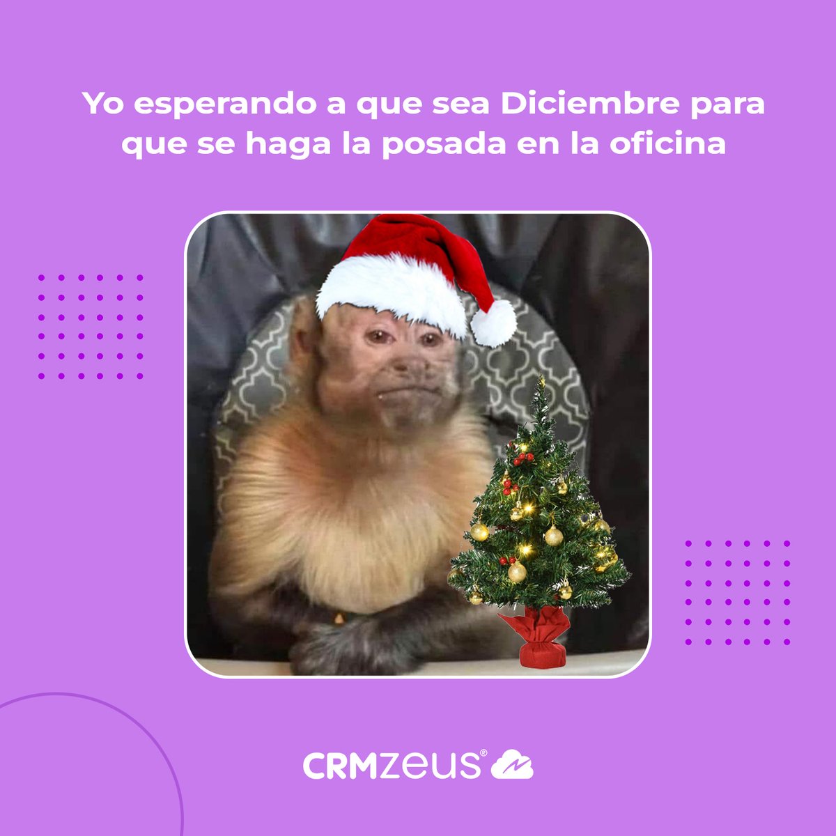 crm_zeus's tweet photo. Wintook es la plataforma que te ayudara a centralizar todos los mensajes/correos de tus diferentes redes sociales y canales de mensajería. Y así mejorar tu atención a cliente ⭐️📨

#wintook #crmzeus #ventas #atencionalcliente #vendedores #Emprendedores https://t.co/UdCA0FGeYF