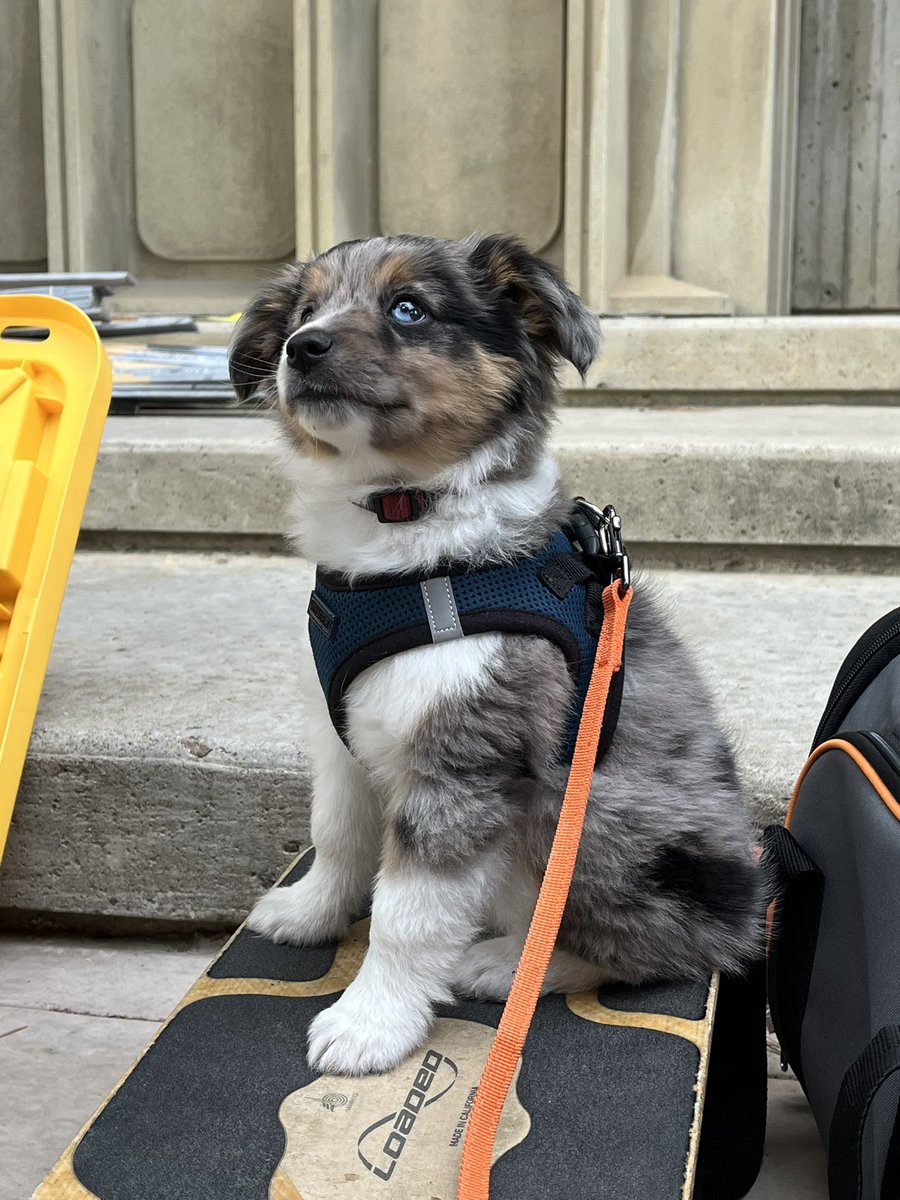 MuirOnStrike tweet media