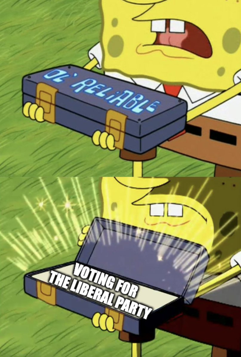 lpcuwindsor's tweet photo. can't go wrong #VoteRightVoteLiberal https://t.co/Y5Hy16Qws0