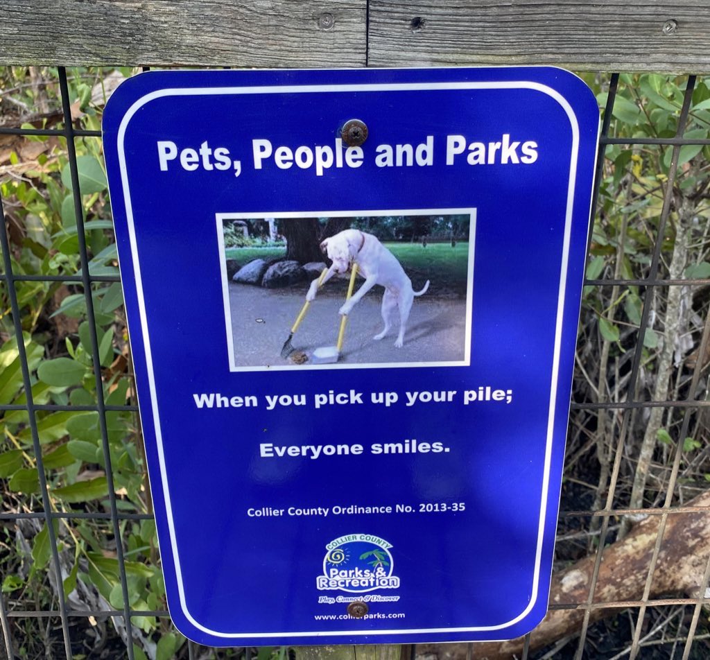 BlimpBriscuit's tweet photo. @PFTCommenter Pictures of picture of dogs can be posted at 7:00 ET #verygoodthursday https://t.co/f7DTn66O9w