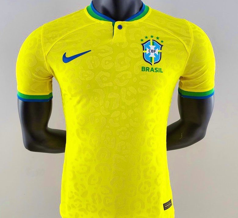 oocbrsao's tweet photo. VAMOS SORTEAR A CAMISA DA SELEÇÃO BRASILEIRA!🇧🇷

REGRAS:
— Seguir @curiosidadesdb 
— Seguir @pietrocalvinho 
— Dar RT nesse Tweet

O SORTEIO SERÁ DIA 04/12!📆 https://t.co/iT4IPSaQ38
