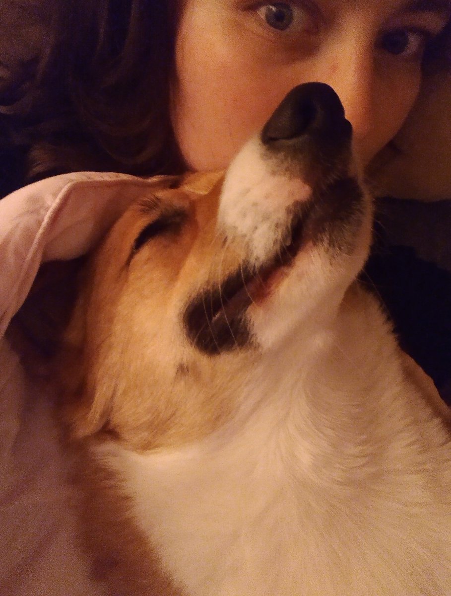 SJPoetryCorner's tweet photo. Sleepy boy. https://t.co/Nlaw5Qcqq9