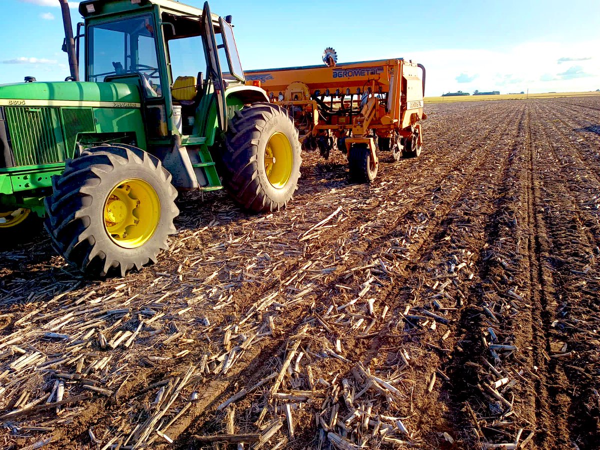 Arrancando con la siembra de maíz tardío en Rojas.
DK 72-08 VT3P 
DK 73-03 VT3P
Next 22.6 PWU
80.000 sem/ha
100 kgs/ha 7-40-5
200 kgs/ha urea
1.2 kg de atrazina + 350 cm3 Adengo.