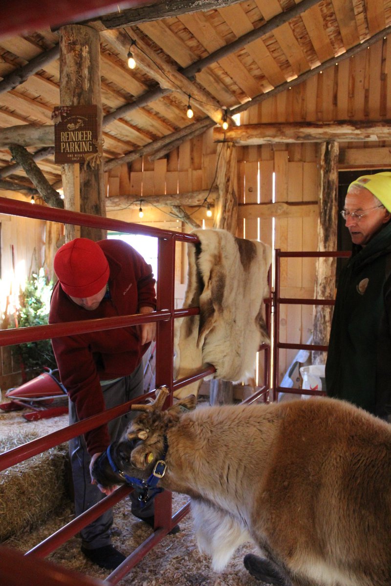 Tyler Sweeting tweet media