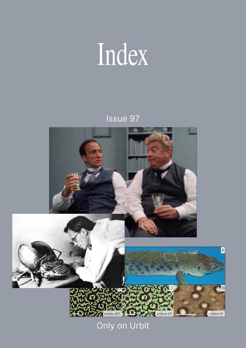 Urbit Community tweet media