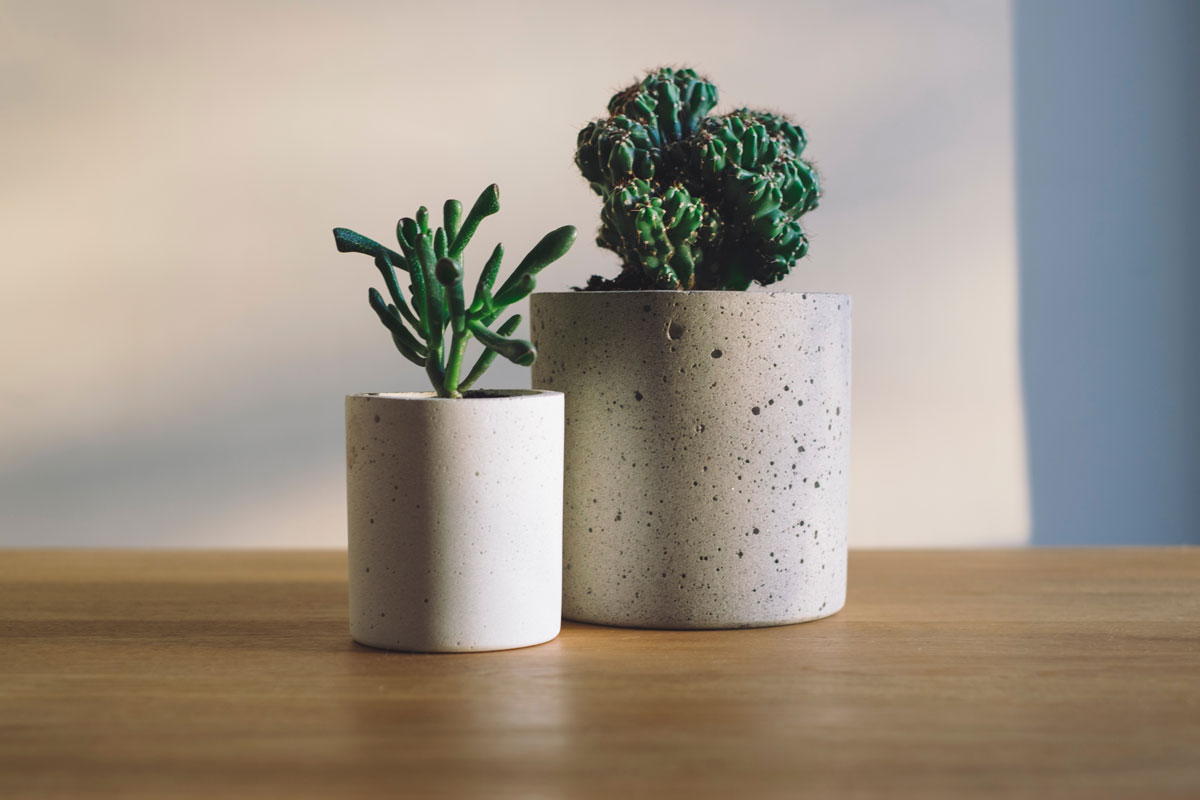 wohnungstipps's tweet photo. https://t.co/KsMrORtXW5 https://t.co/lji77FVVpR #Teppich #Teppiche #Teppichoase.de https://t.co/S5yzE0MsU3