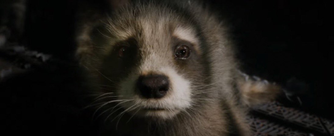 blurayangel's tweet photo. Who is dying in Guardians of the Galaxy Vol. 3? https://t.co/ddnKonkeG8