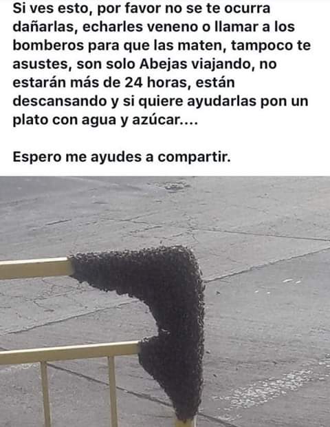 Alexis Azcárate 2 tweet media