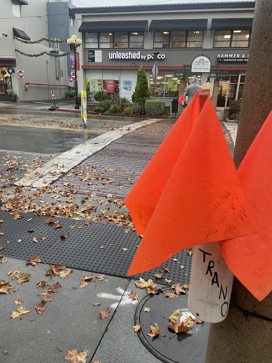 Ali Sapirman tweet media