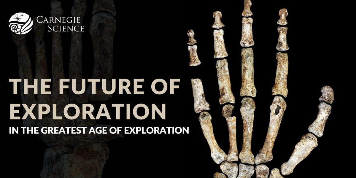 Carnegie Science (@carnegiescience) on Twitter photo Missed tonight's talk by paleoanthropologist <a href="/LeeRberger/">Lee R Berger</a>? Watch it on-demand on our Livestream channel and learn all about his groundbreaking #naledifire discovery. livestream.com/carnegiescienc… Missed tonight's talk by paleoanthropologist <a href="/LeeRberger/">Lee R Berger</a>? Watch it on-demand on our Livestream channel and learn all about his groundbreaking #naledifire discovery. livestream.com/carnegiescienc…