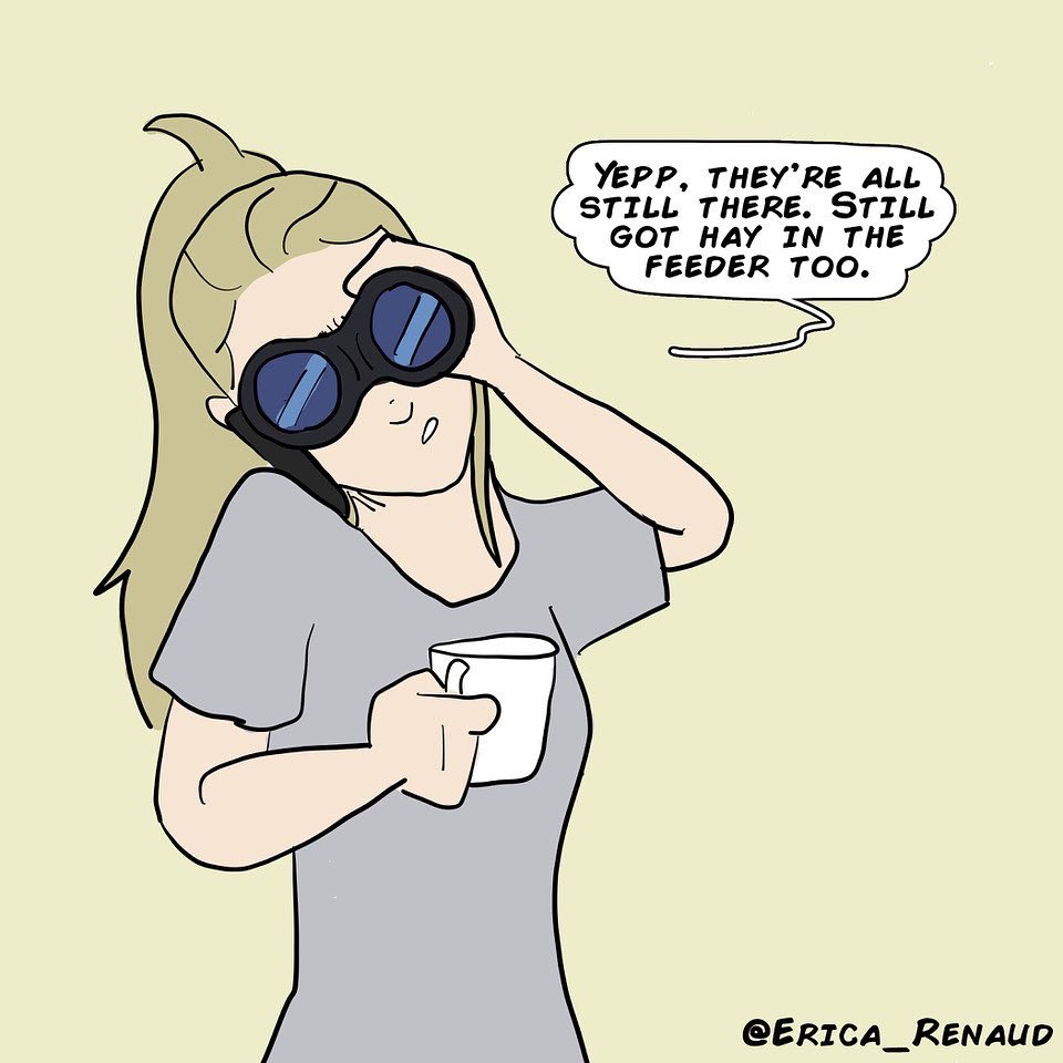 Erica Renaud (Miles) tweet media