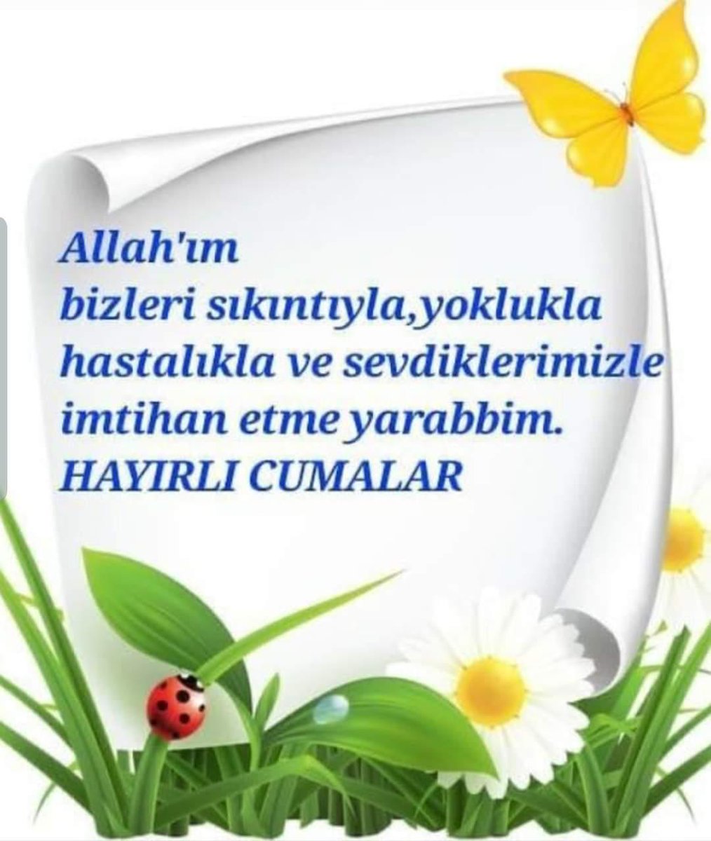 dalgaramazan01's tweet photo. https://t.co/6tXEkInnQ0