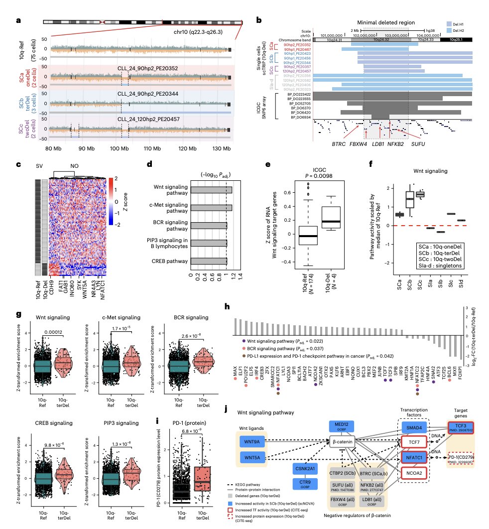 BioDecoded tweet picture