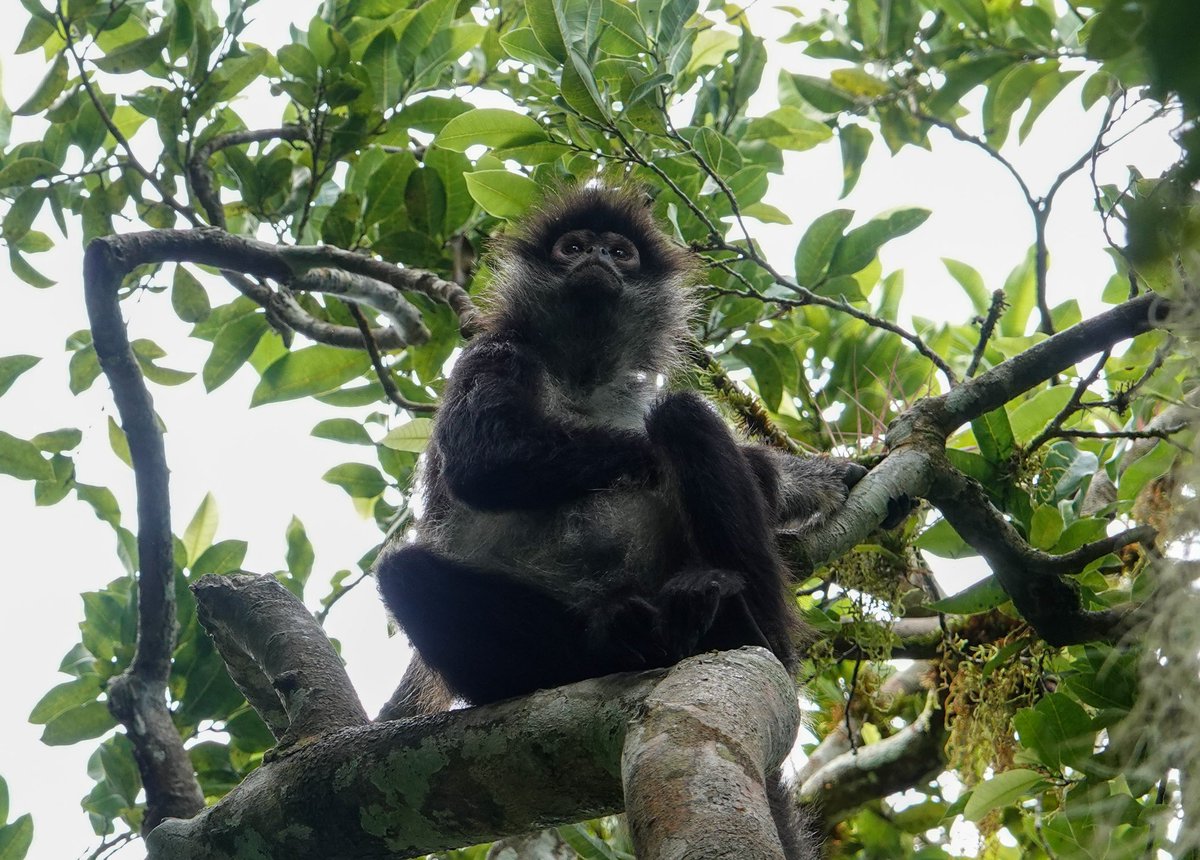 Daniel Weldon tweet media