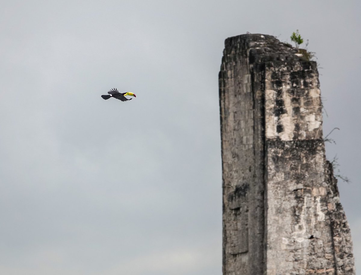 Daniel Weldon tweet media