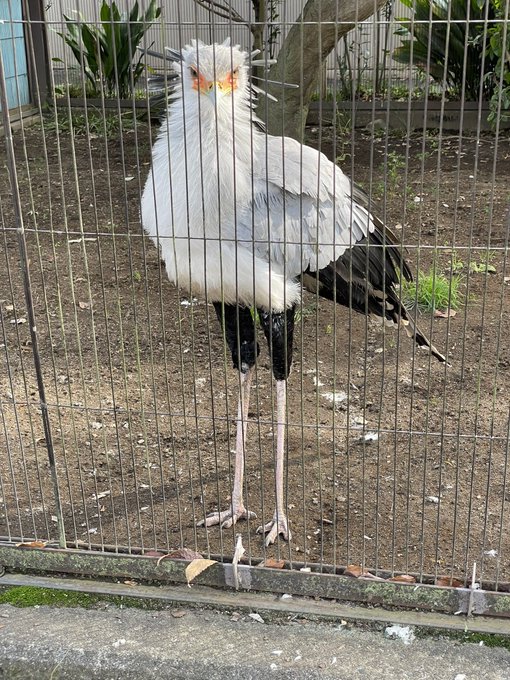 おわり 