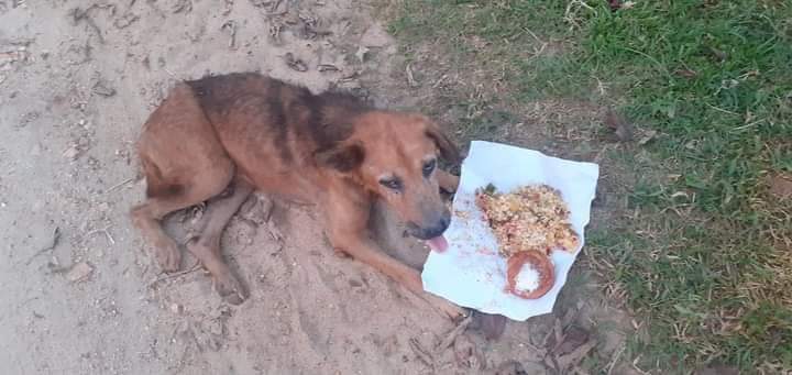 PriyanthaNanda5's tweet photo. @DefensieMin @tanjagonggrijp @ozlem_canel @HPevkur @bjorn_thon Let's come together to help people like this https://t.co/ChlTHvLVn2