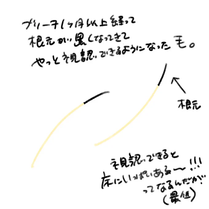 ブリーチしてまだ2年弱くらいなので、毎回おもしれえな…って思ってる(掃除機をかけろ) 