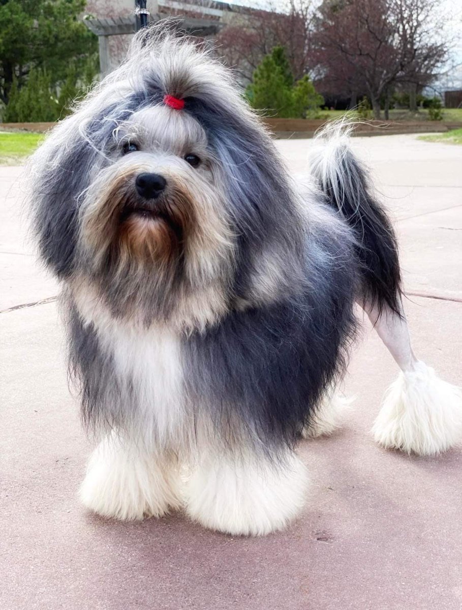 Misohungry tweet media