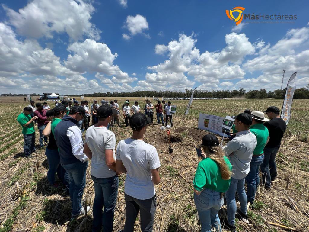 Consultora Más Hectáreas tweet media