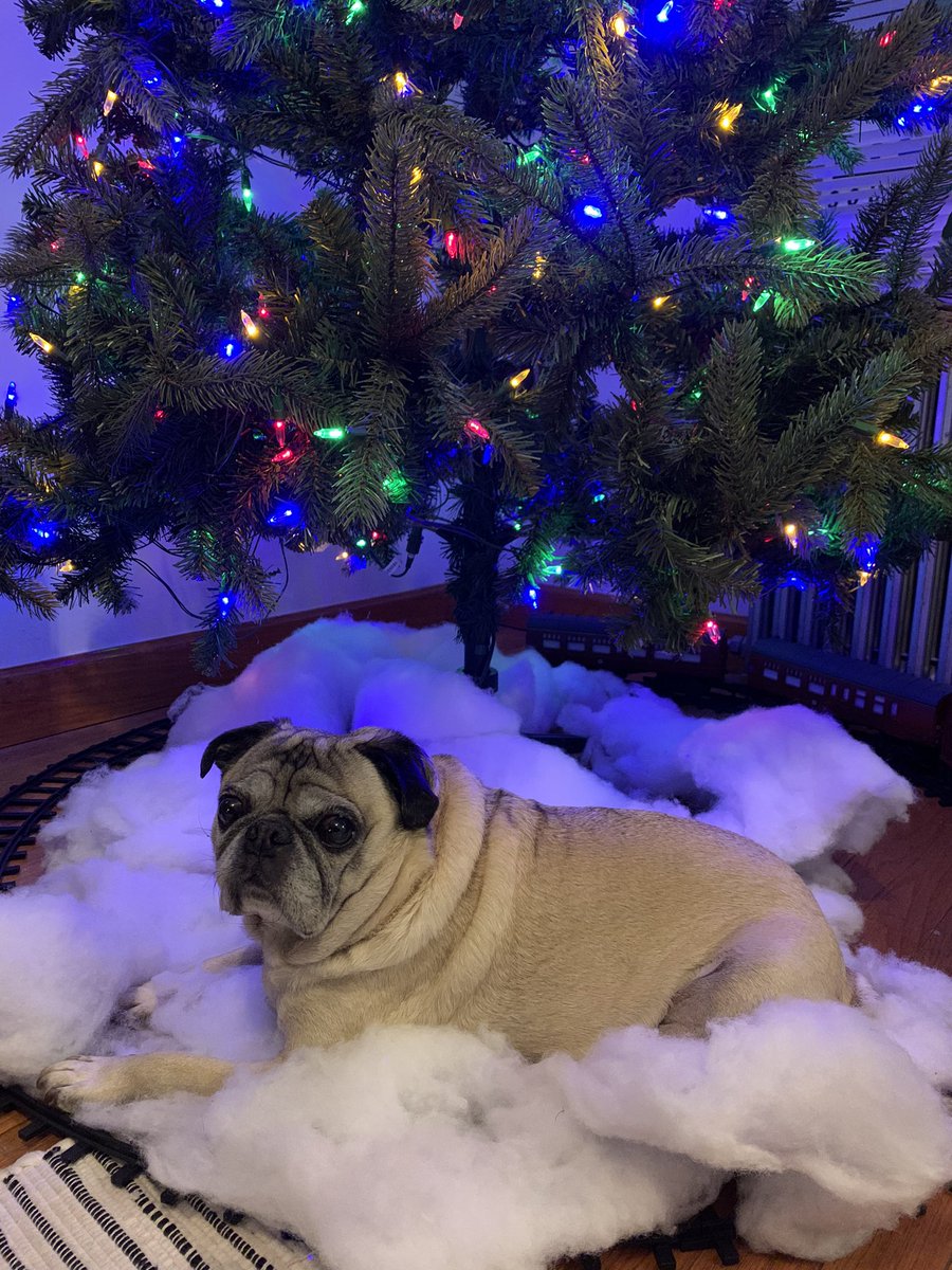 Making sure my presents will be comfy