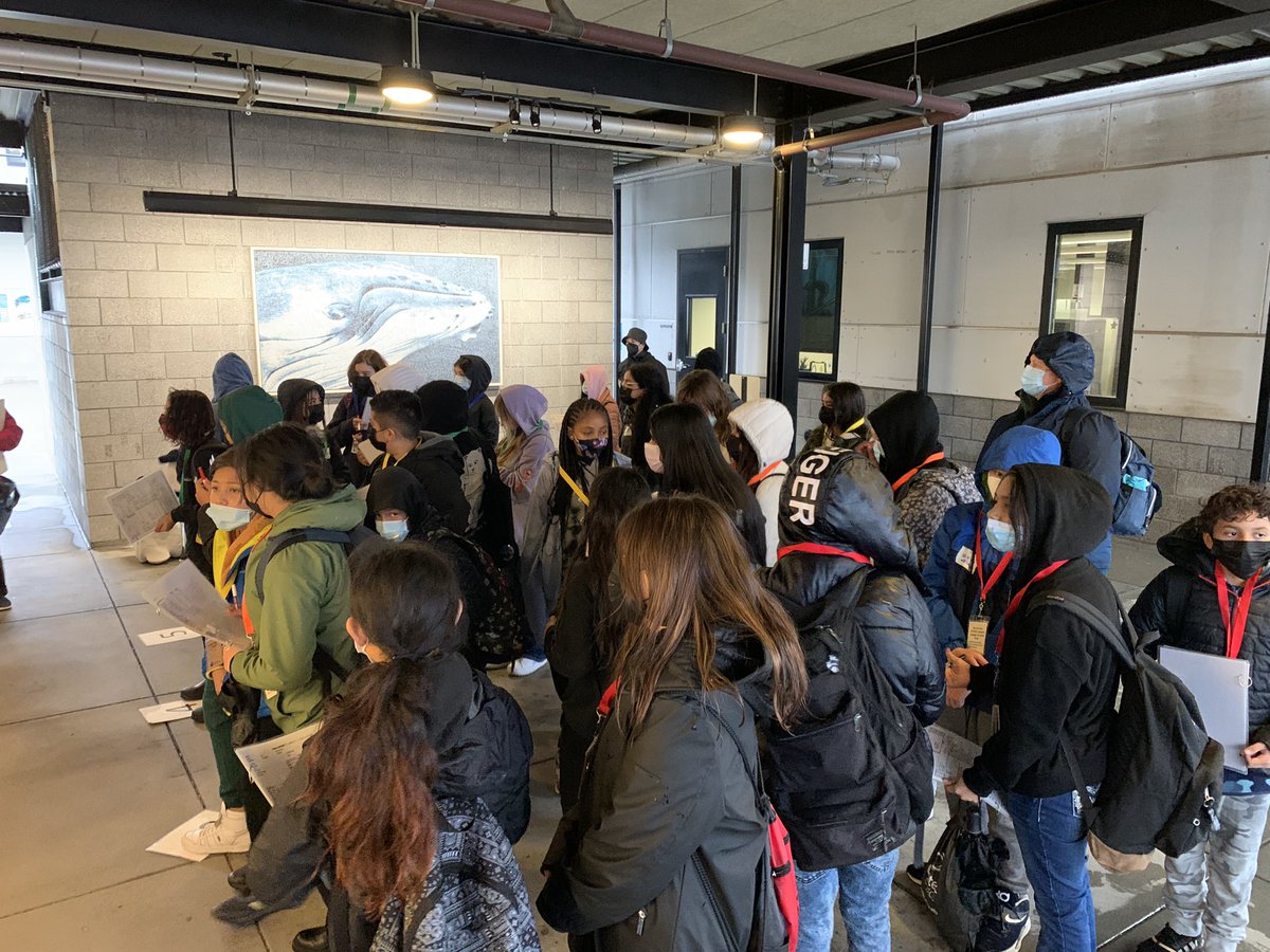 maslen_ian's tweet photo. A little rain couldn’t dampen the enthusiasm of the @EdmsToros students today when we visited the Marine Mammal Center @TMMC. They learned how a neurotoxin (dominic acid) affects both marine life and humans. We all need to be mindful stewards to keep our oceans healthy. https://t.co/yjFOQ8w28g